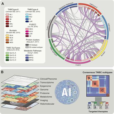 Frontiers | Current Triple-Negative Breast Cancer Subtypes: Dissecting ...